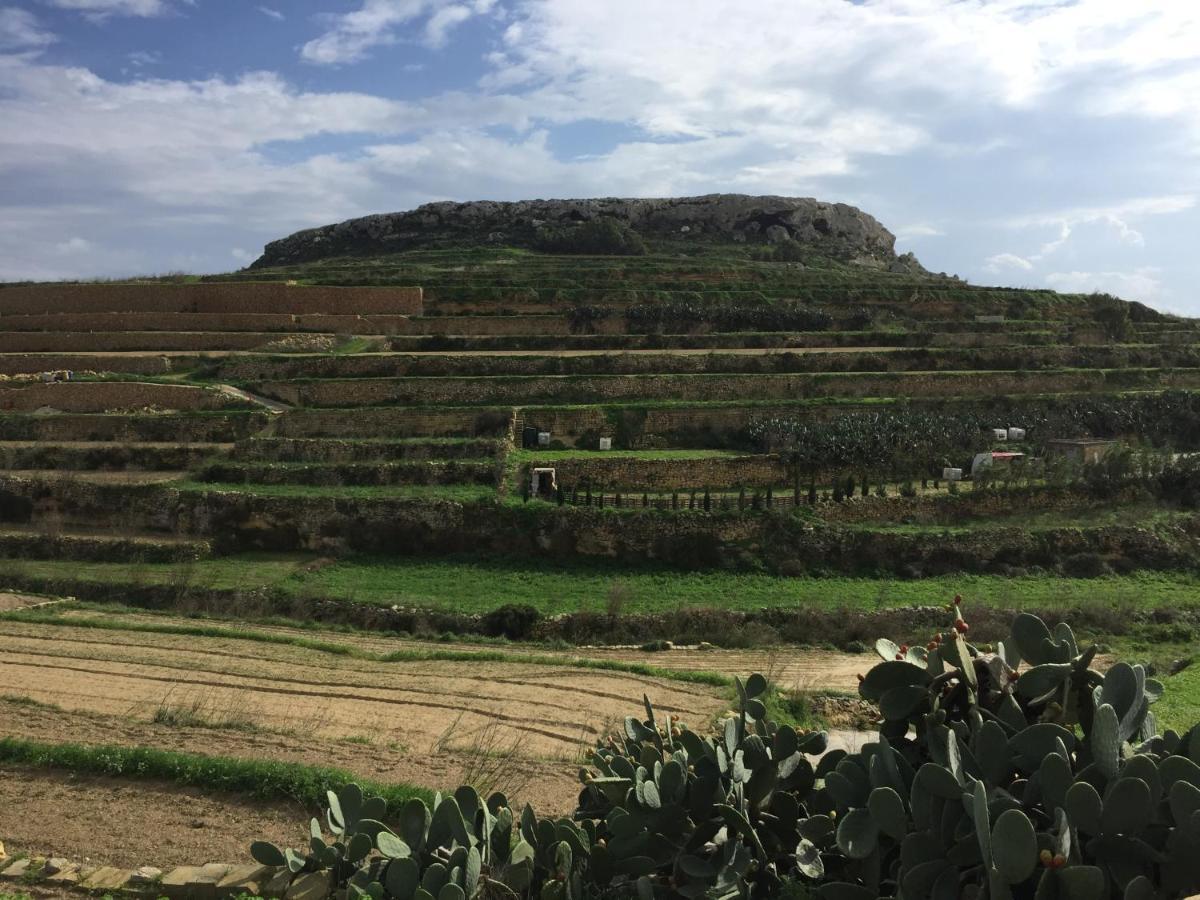 Gozo Dwejra Views *